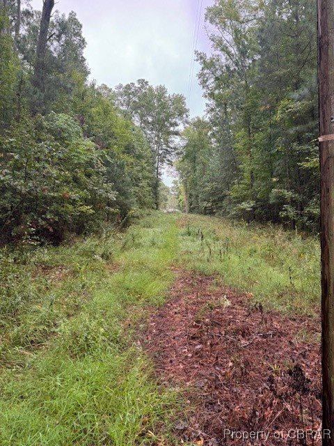 0 Severn Wharf Road, Gloucester County, VA 23072