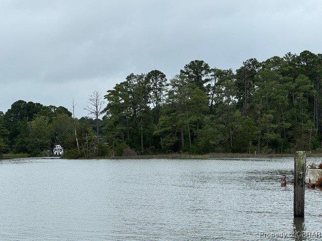 0 Severn Wharf Road, Gloucester County, VA 23072