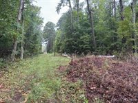 0 Severn Wharf Road, Gloucester County, VA 23072