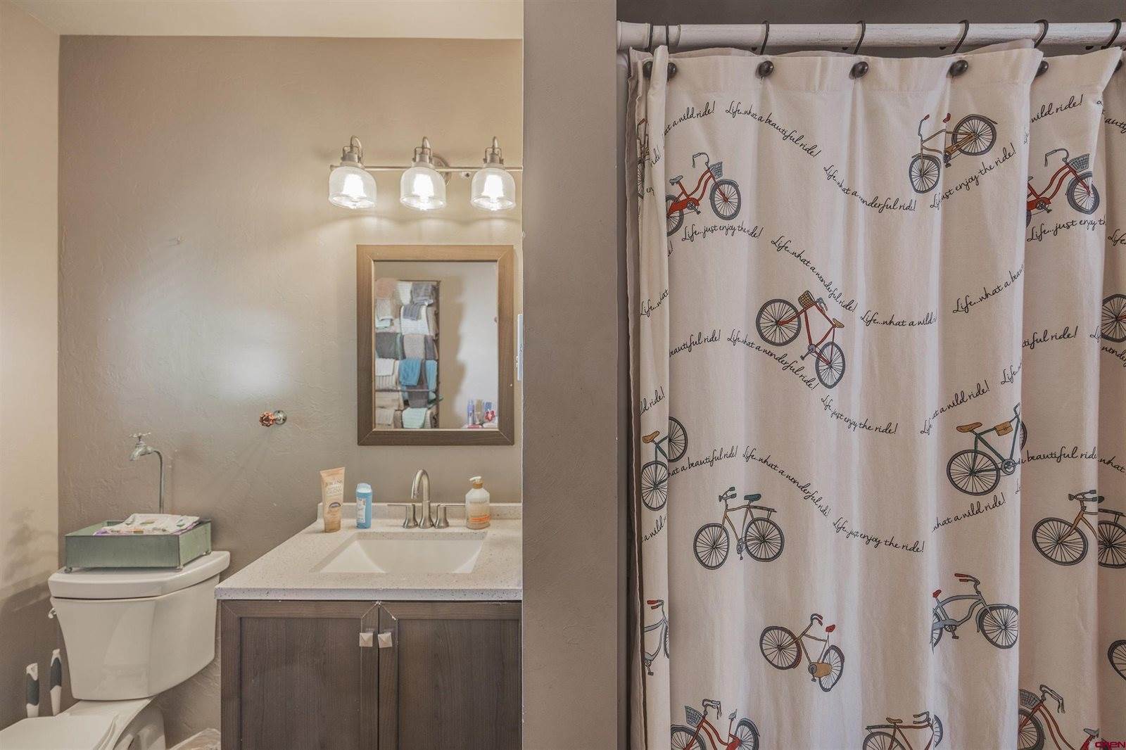 347 S 4th Street, Montrose, CO 81401