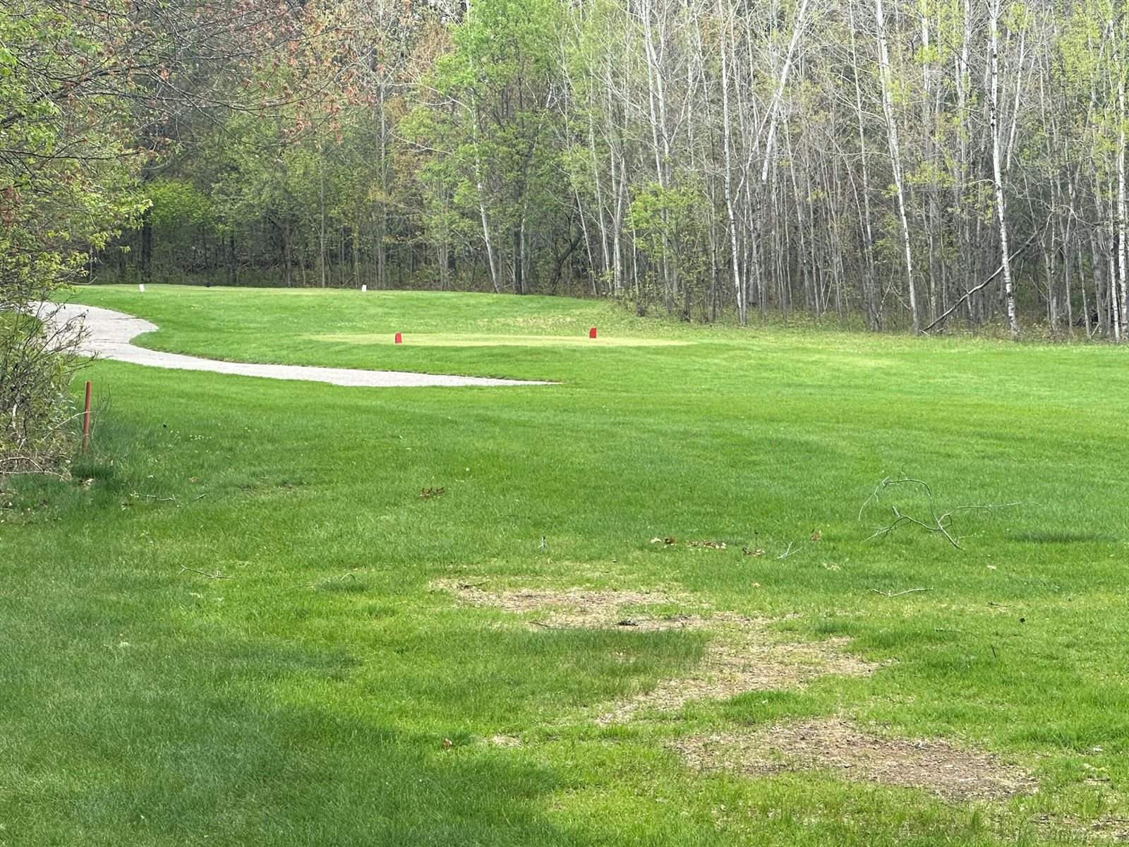 Lot 6 Fairway Court, Grayling, MI 49738