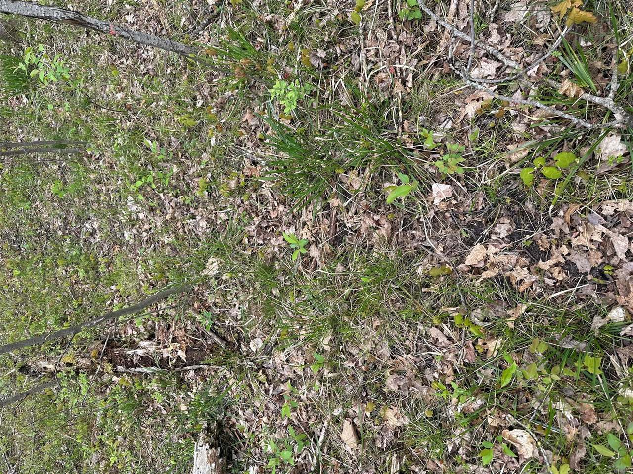 Lot 7 Fairway Court, Grayling, MI 49738