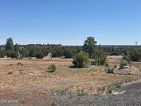 1080 Linden Valley Road, Show Low, AZ 85901