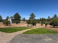 1080 Linden Valley Road, Show Low, AZ 85901