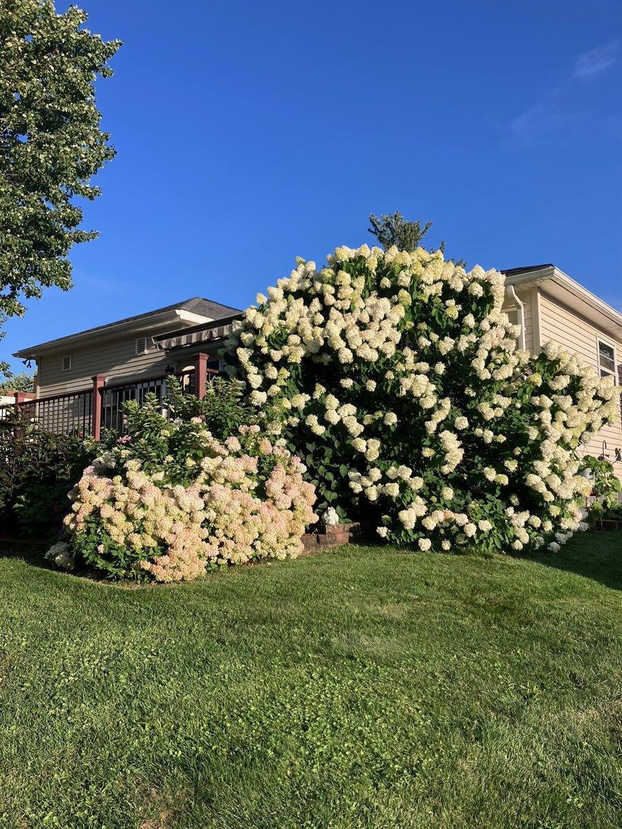 208 W Miller Street, Greenwood, WI 54437