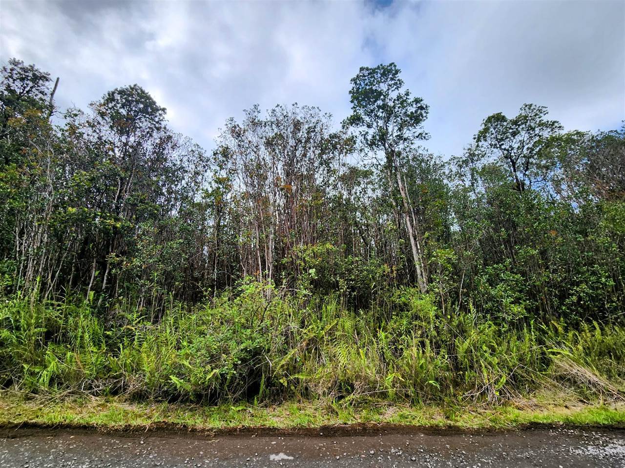 Makoa Rd, Volcano, HI 96785