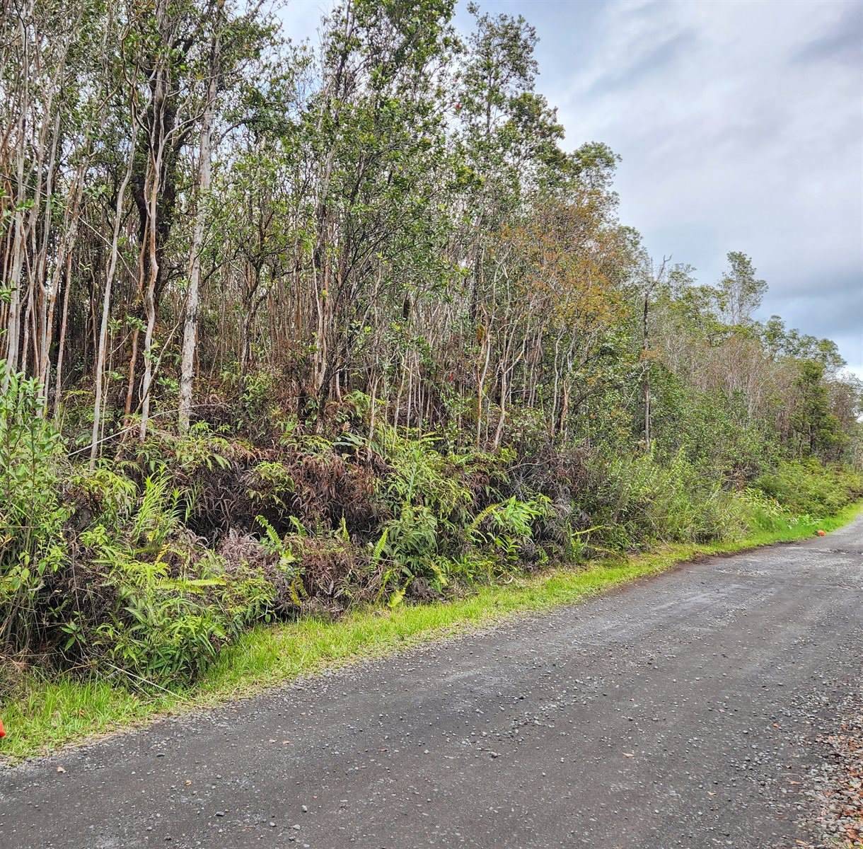 Makoa Rd, Volcano, HI 96785