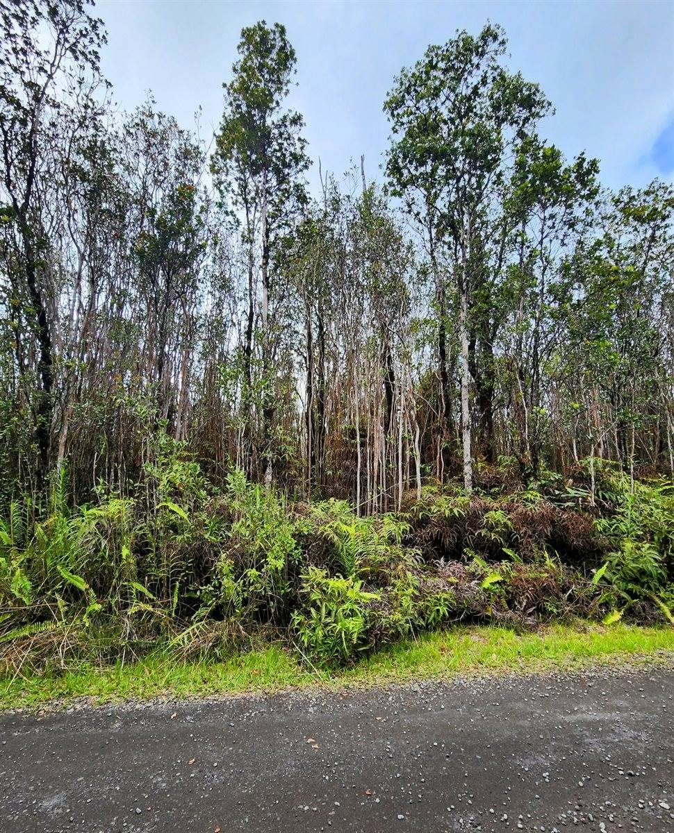 Makoa Rd, Volcano, HI 96785