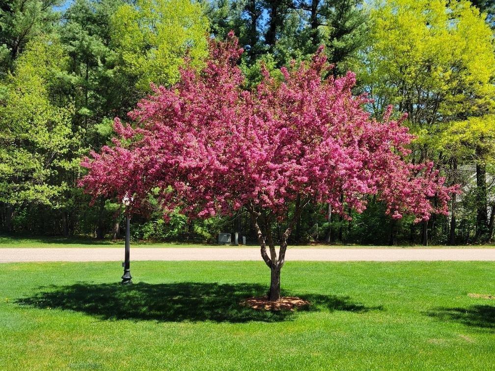 4520 Black Forest Drive, Wisconsin Rapids, WI 54494