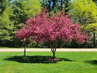 4520 Black Forest Drive, Wisconsin Rapids, WI 54494