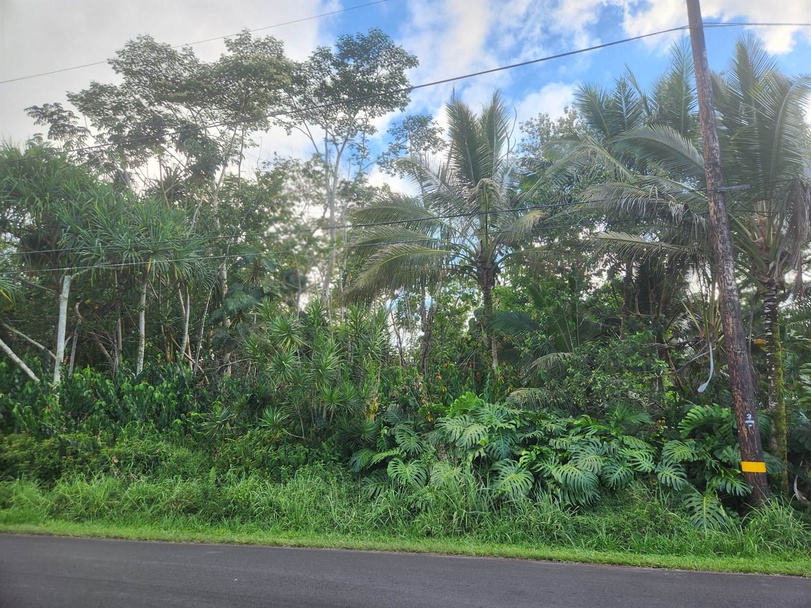 15-2728 Manini St, Pahoa, HI 96778