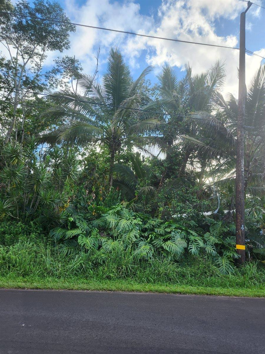 15-2728 Manini St, Pahoa, HI 96778