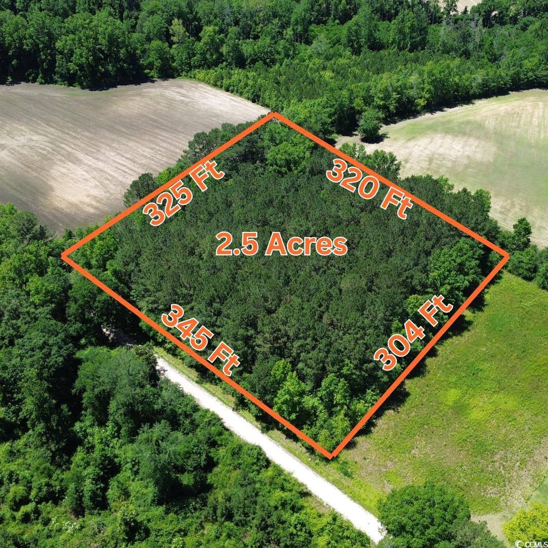 TBD Sparrow Ln., Loris, SC 29569