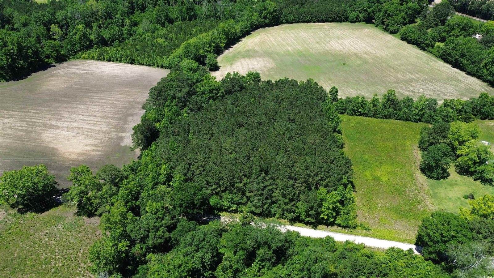 TBD Sparrow Ln., Loris, SC 29569