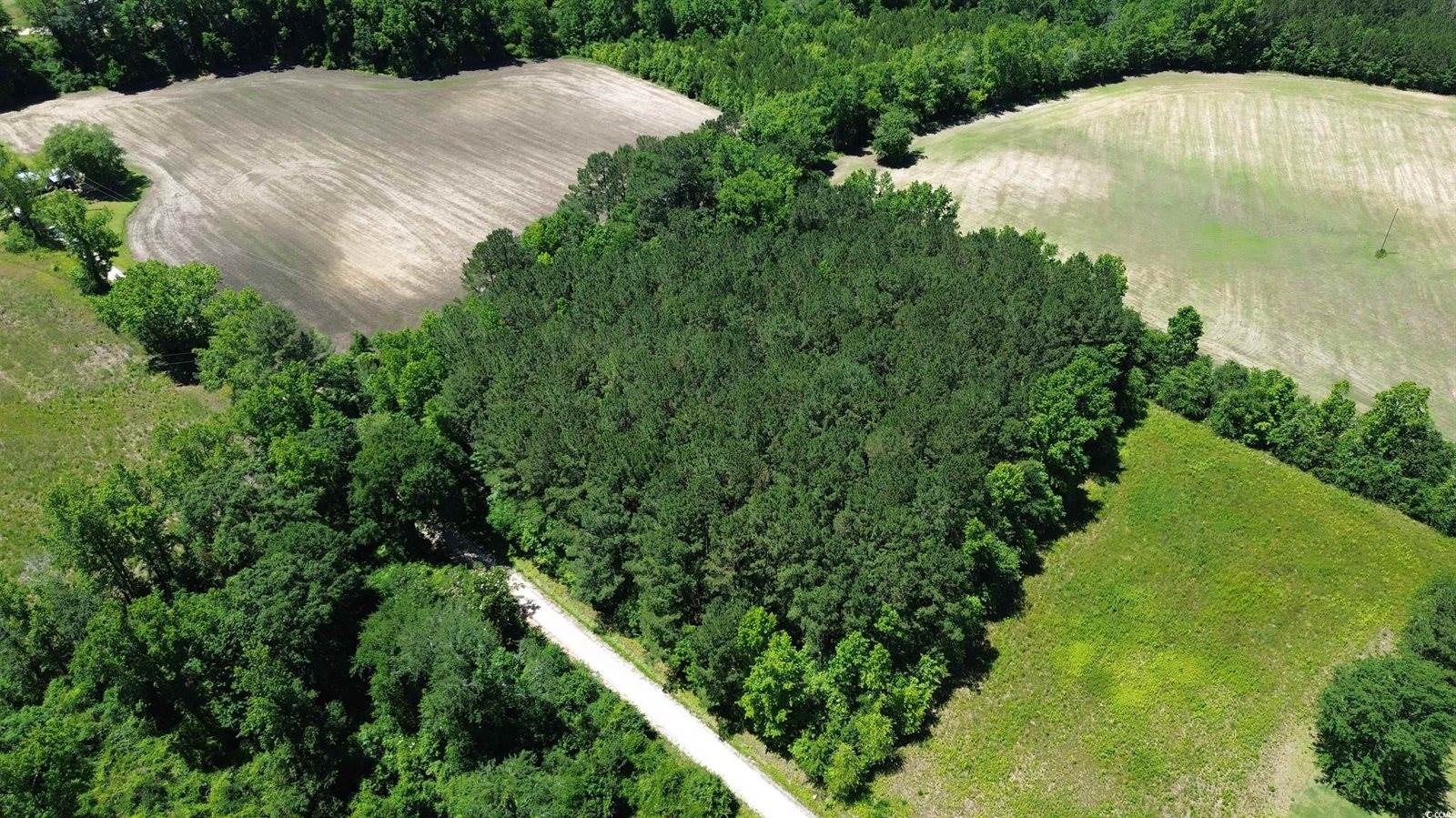 TBD Sparrow Ln., Loris, SC 29569