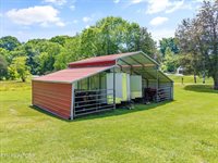 823 Reed Drive, Powell, TN 37849