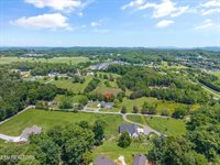 823 Reed Drive, Powell, TN 37849