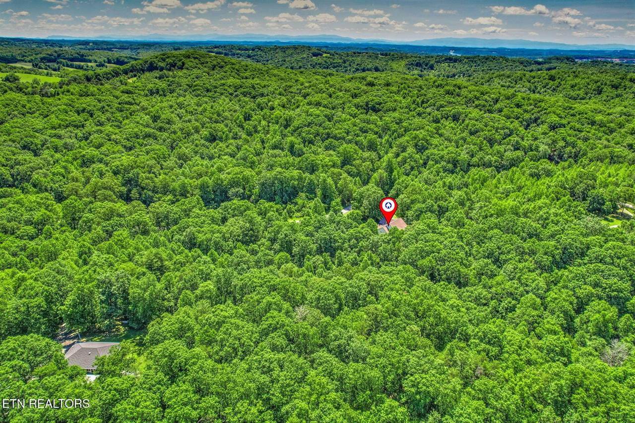 376 Old Holderford Rd, Kingston, TN 37763