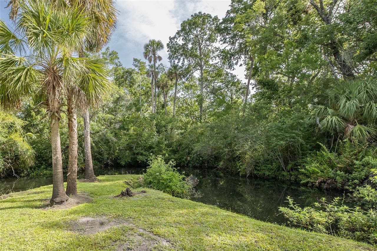 5332 Riverwalk Preserve Drive, New Port Richey, FL 34653