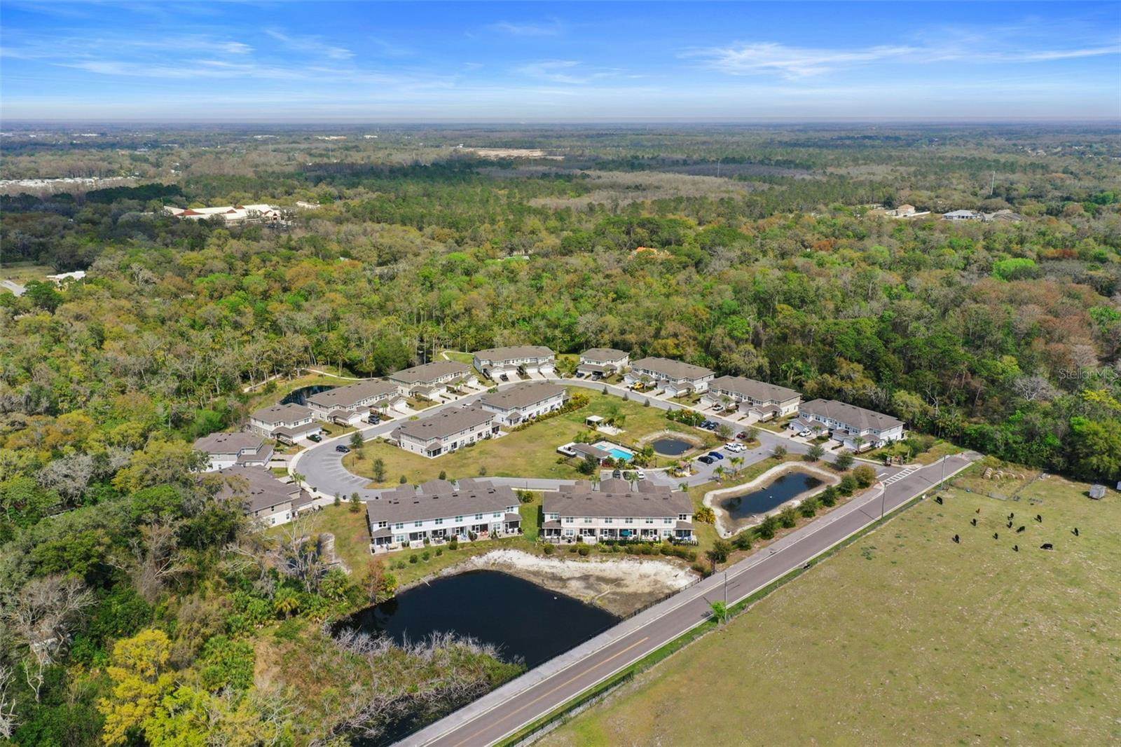 5332 Riverwalk Preserve Drive, New Port Richey, FL 34653