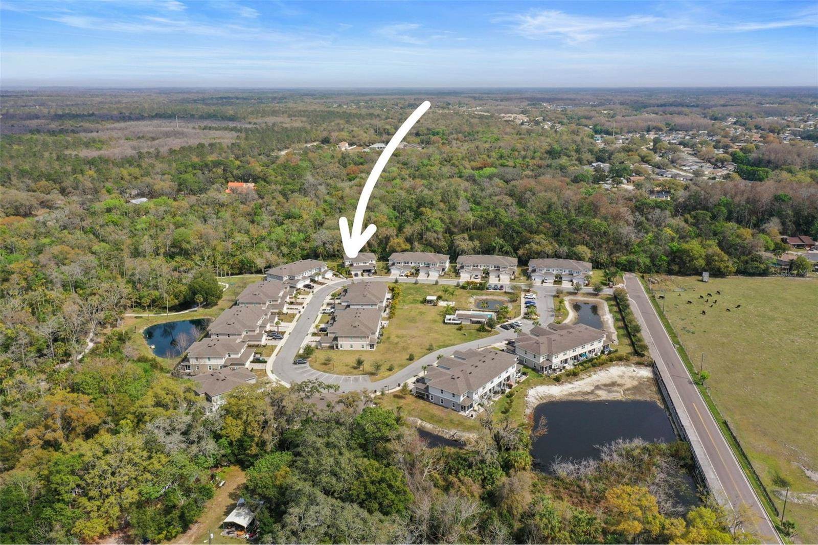 5332 Riverwalk Preserve Drive, New Port Richey, FL 34653