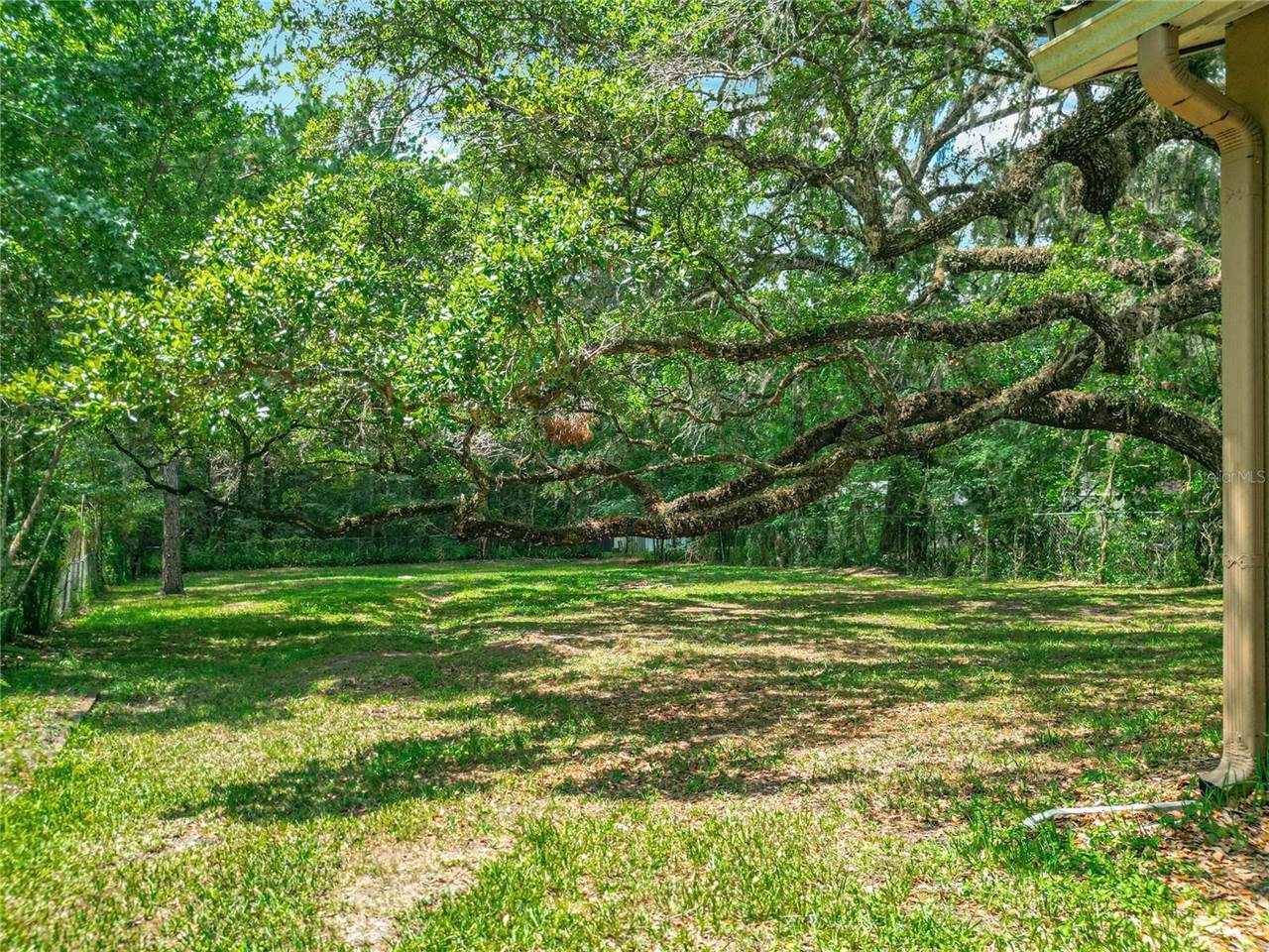 473 Forest Avenue, Brooksville, FL 34601