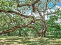 473 Forest Avenue, Brooksville, FL 34601