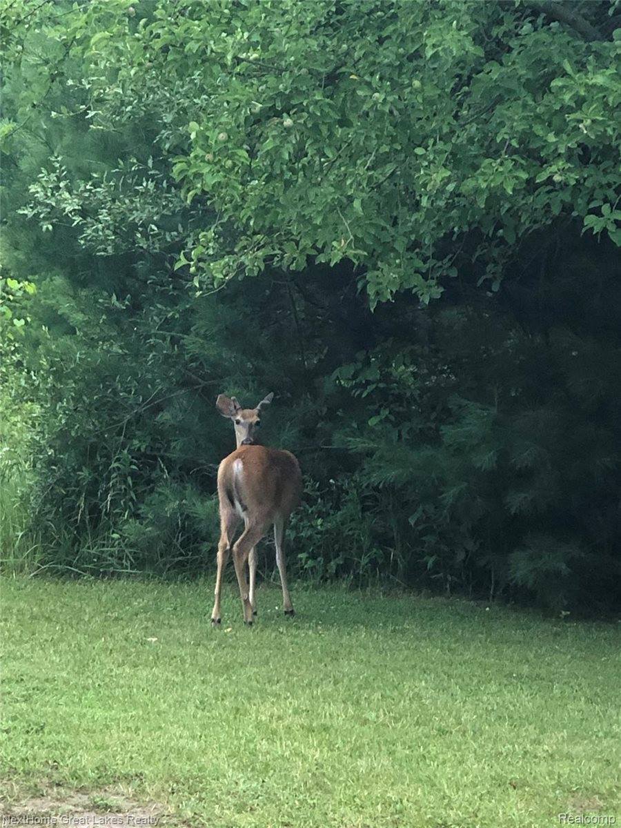 9277 North Clio Road, Clio, MI 48420