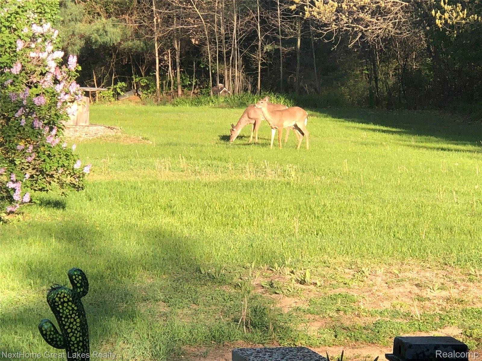 9277 North Clio Road, Clio, MI 48420