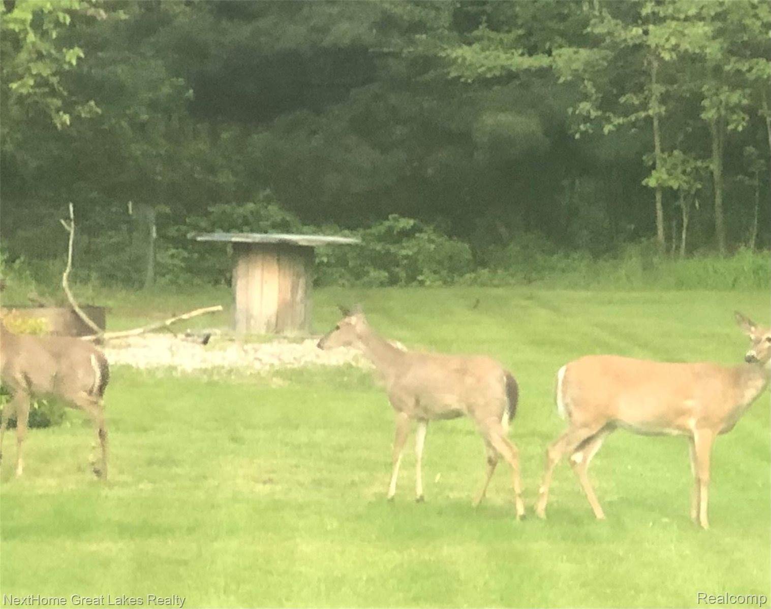 9277 North Clio Road, Clio, MI 48420