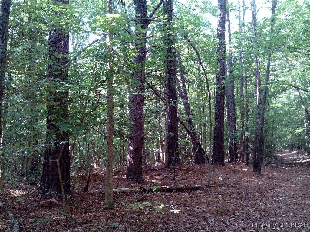 0000 Millers Landing Road, Gloucester County, VA 23061