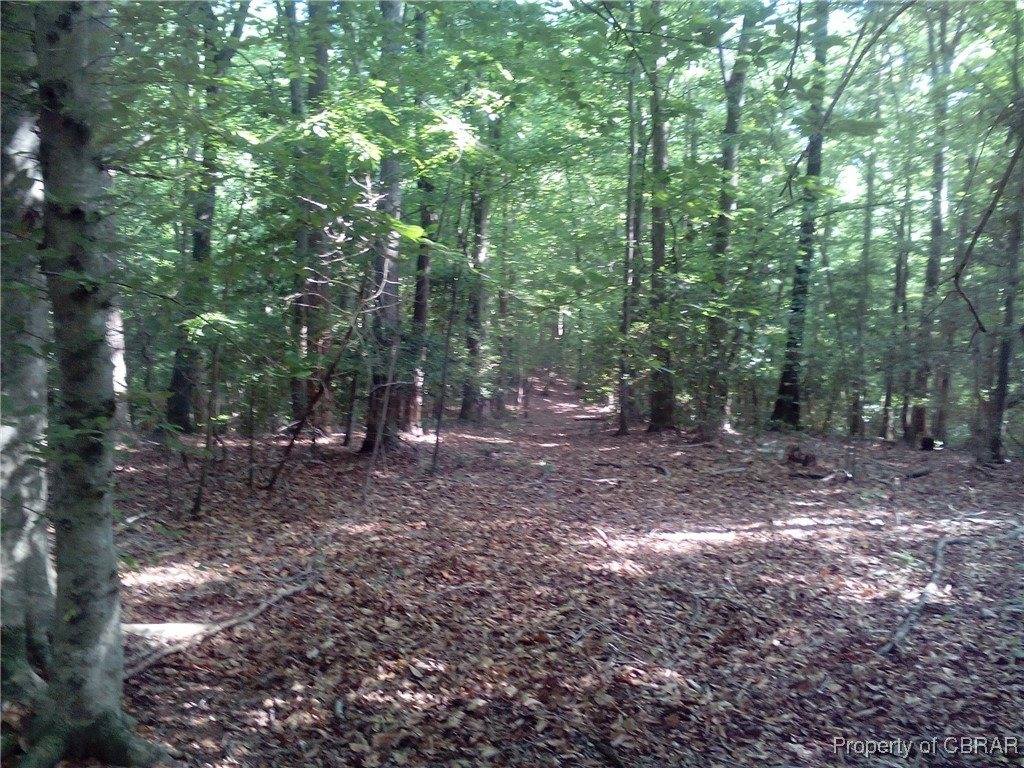 0000 Millers Landing Road, Gloucester County, VA 23061