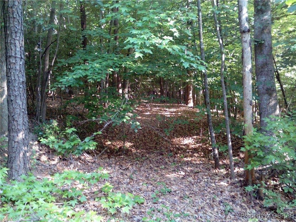 0000 Millers Landing Road, Gloucester County, VA 23061