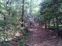 0000 Millers Landing Road, Gloucester County, VA 23061