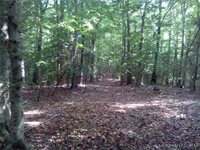 0000 Millers Landing Road, Gloucester County, VA 23061