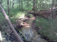 0000 Millers Landing Road, Gloucester County, VA 23061