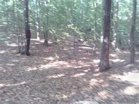 0000 Millers Landing Road, Gloucester County, VA 23061