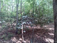 0000 Millers Landing Road, Gloucester County, VA 23061