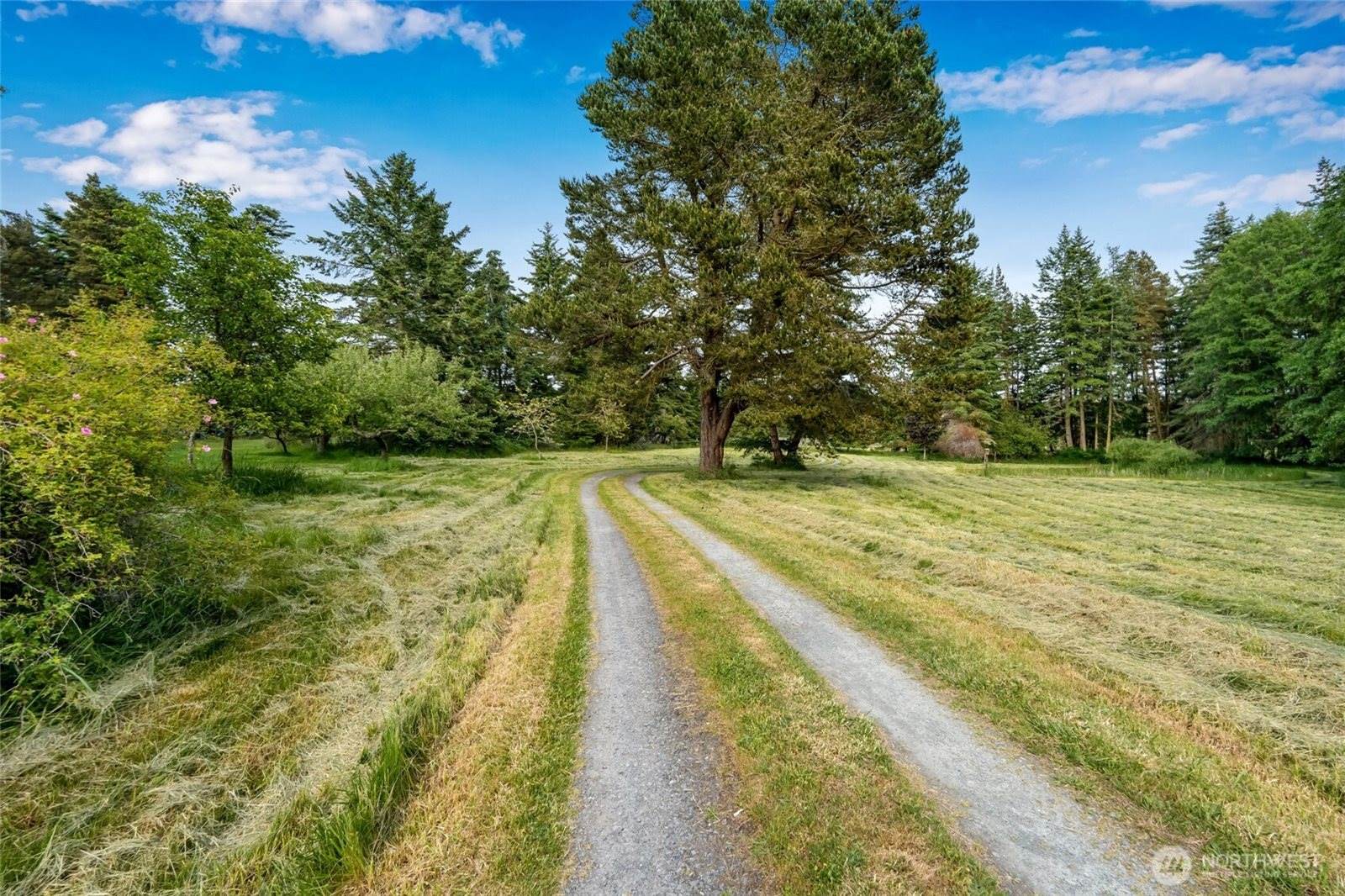 317 Eagles Roost Lane, Lopez Island, WA 98261