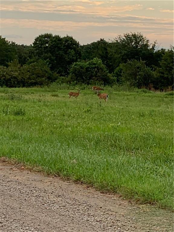 511 North 50th Street, Walnut, KS 66780