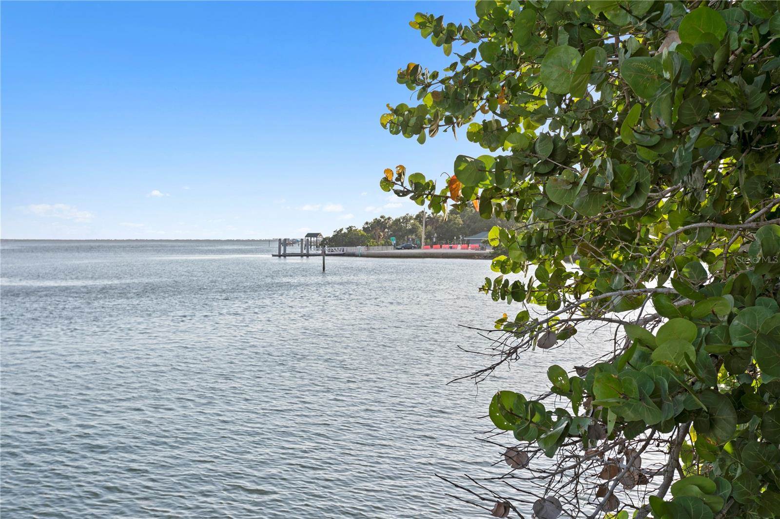 218 Colony Point Road South, Saint Petersburg, FL 33705