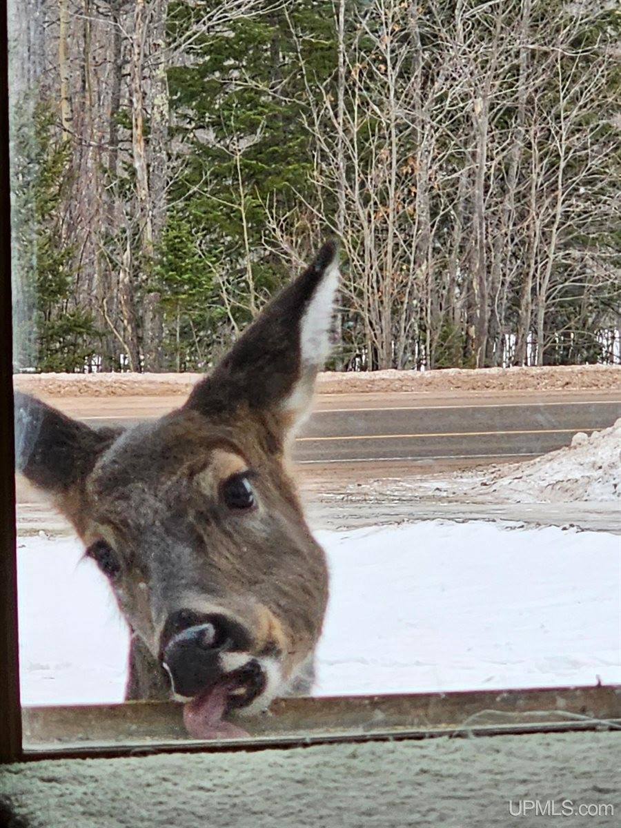 5631 County Road 550 Road, Marquette, MI 49855