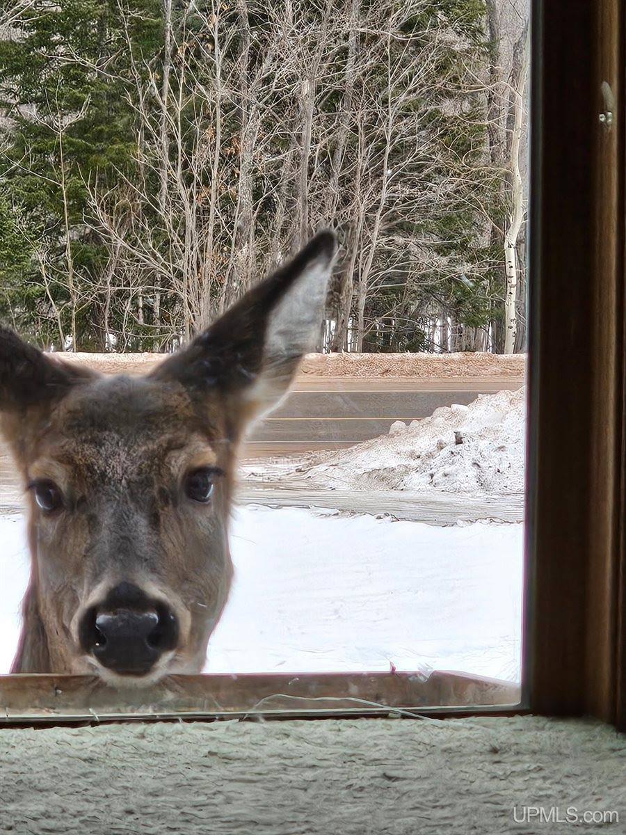 5631 County Road 550 Road, Marquette, MI 49855