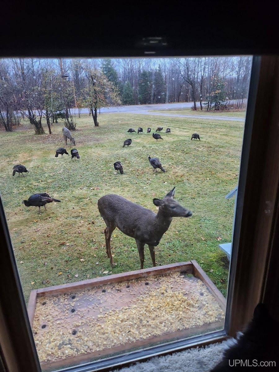 5631 County Road 550 Road, Marquette, MI 49855