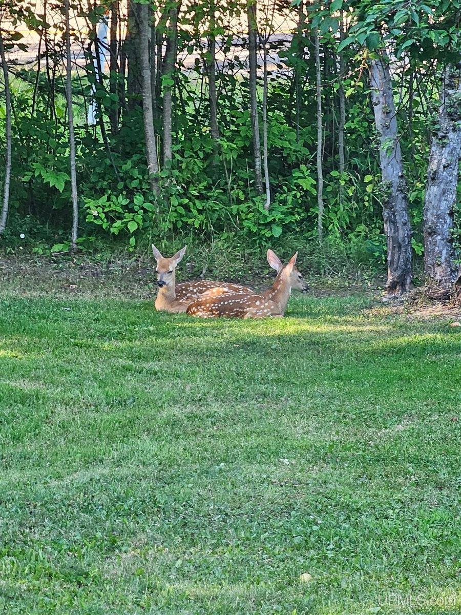 5631 County Road 550 Road, Marquette, MI 49855