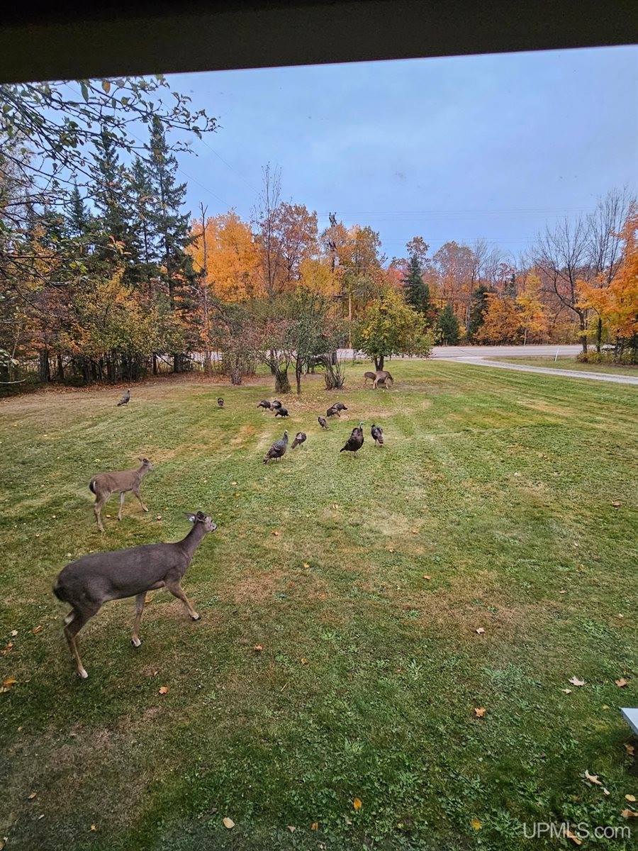 5631 County Road 550 Road, Marquette, MI 49855