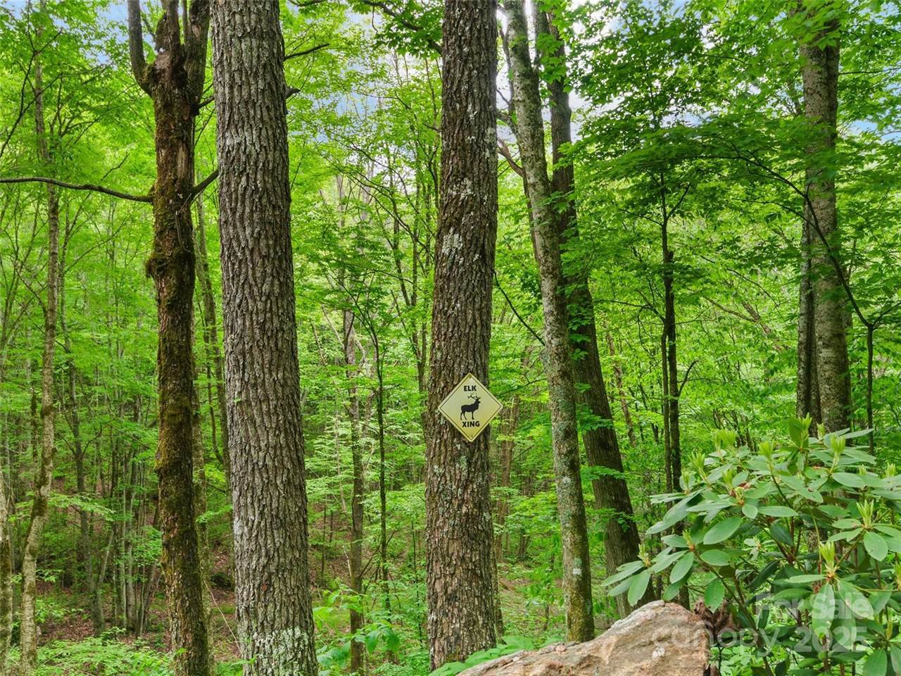 306 Mashstomp Road, Maggie Valley, NC 28751