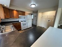 1109 South Locust Avenue, Freeport, IL 61032