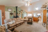 4024 5945 Rd, Olathe, CO 81425