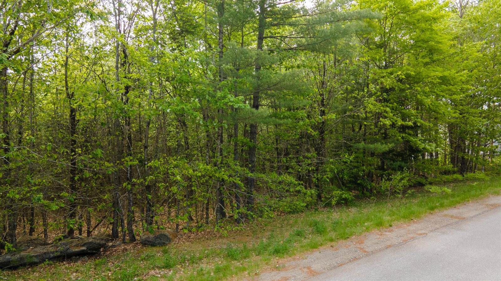Lot 7 Grant Road, Orono, ME 04473
